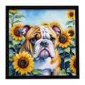 English Bulldog in Sunflowers Framed Metal Print Bathroom, Kitchen, Office, Home Decor Wall Art Ready to Hang, Square, 8X8
