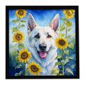 White German Shepherd in Sunflowers Framed Metal Print Bathroom, Kitchen, Office, Home Decor Wall Art Ready to Hang, Square, 8X8