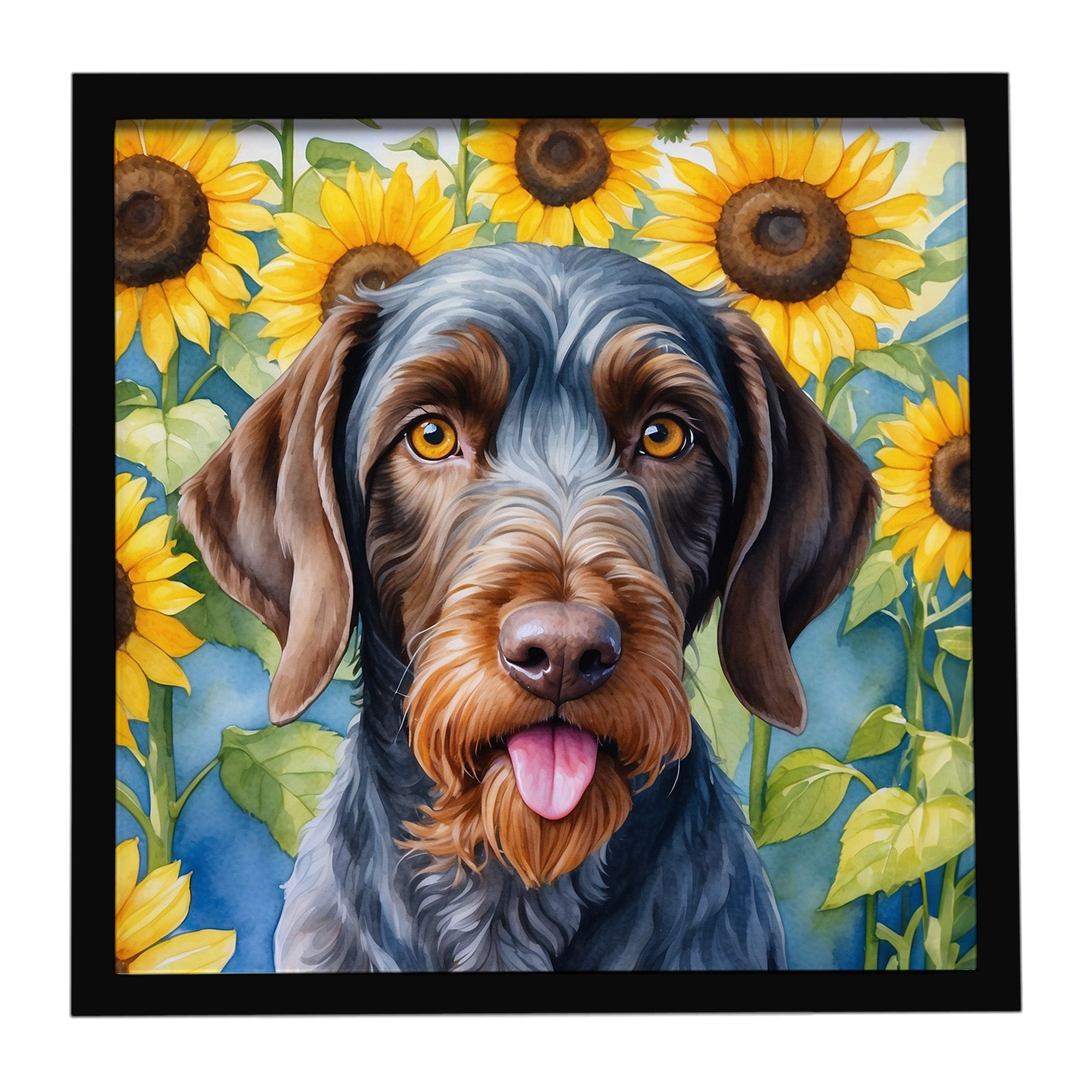German Wirehaired Pointer in Sunflowers Framed Metal Print Bathroom, Kitchen, Office, Home Decor Wall Art Ready to Hang, Square, 8X8