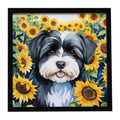 Havanese in Sunflowers Framed Metal Print Bathroom, Kitchen, Office, Home Decor Wall Art Ready to Hang, Square, 8X8