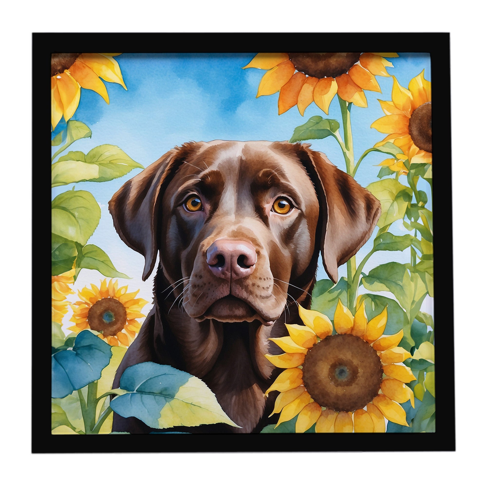 Labrador Retriever in Sunflowers Framed Metal Print Bathroom, Kitchen, Office, Home Decor Wall Art Ready to Hang, Square, 8X8