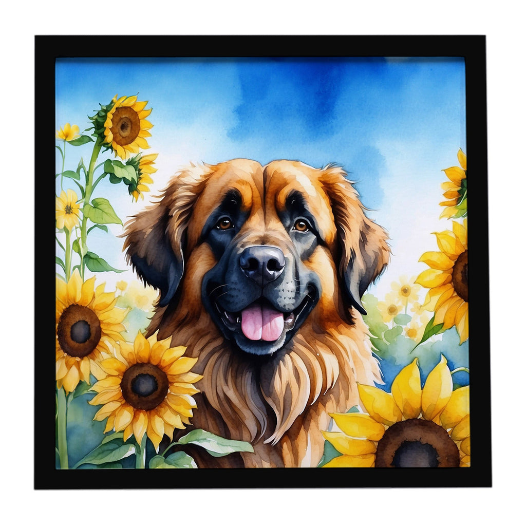 Leonberger in Sunflowers Framed Metal Print Bathroom, Kitchen, Office, Home Decor Wall Art Ready to Hang, Square, 8X8