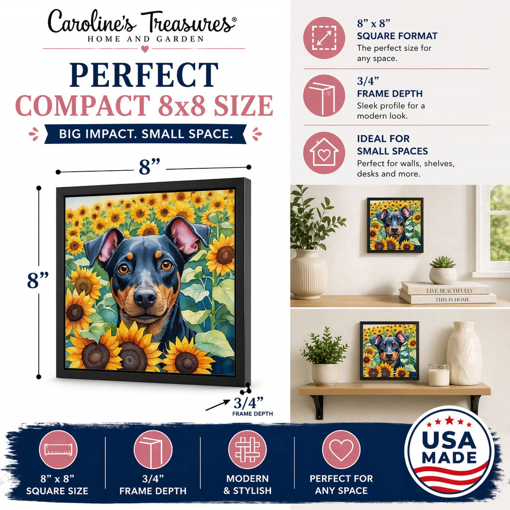 Manchester Terrier in Sunflowers Framed Metal Print Bathroom, Kitchen, Office, Home Decor Wall Art Ready to Hang, Square, 8X8