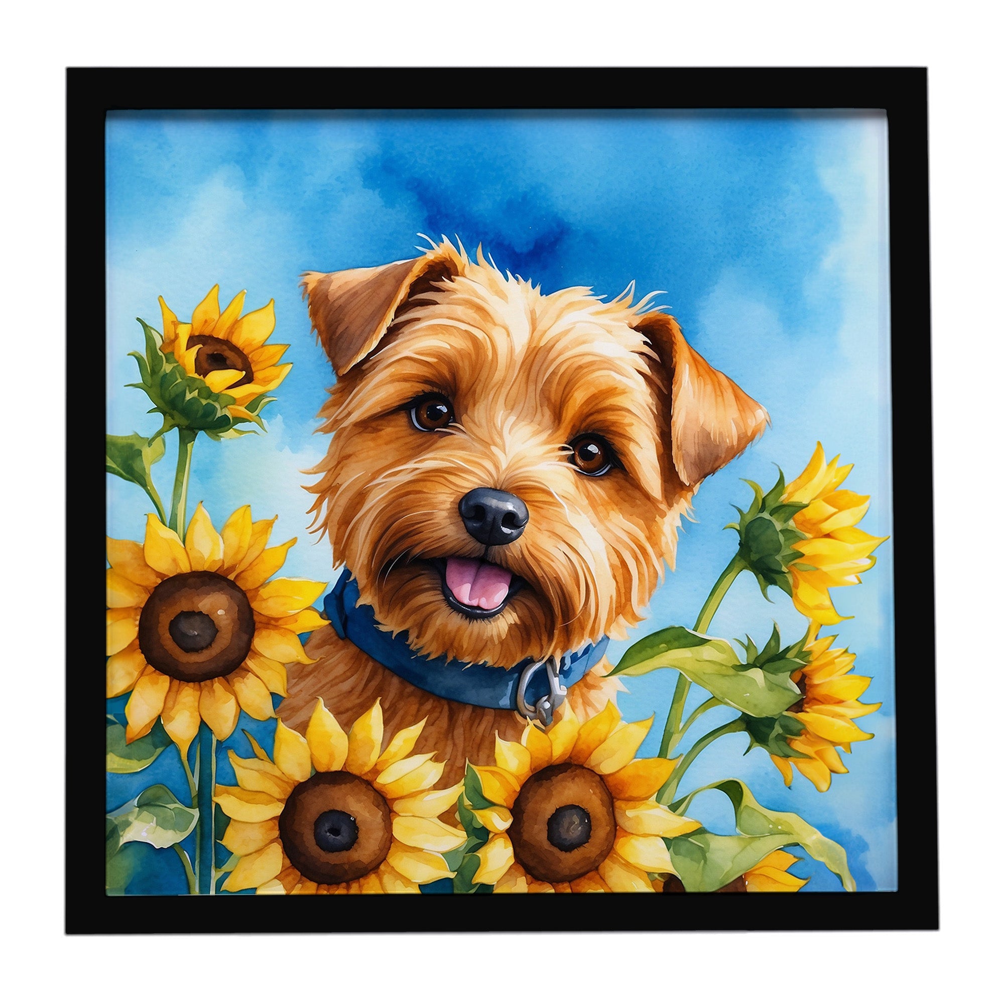 Norfolk Terrier in Sunflowers Framed Metal Print Bathroom, Kitchen, Office, Home Decor Wall Art Ready to Hang, Square, 8X8