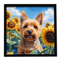 Norwich Terrier in Sunflowers Framed Metal Print Bathroom, Kitchen, Office, Home Decor Wall Art Ready to Hang, Square, 8X8