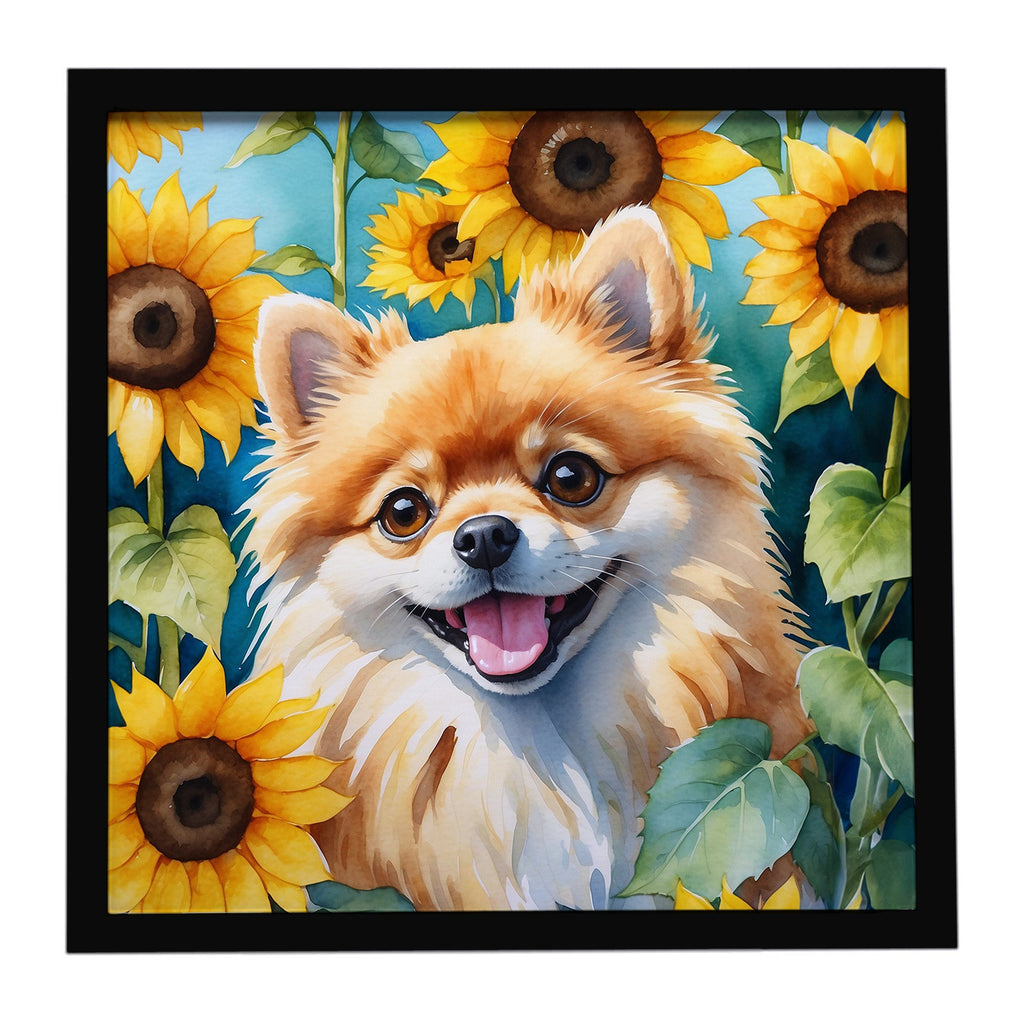 Pomeranian in Sunflowers Framed Metal Print Bathroom, Kitchen, Office, Home Decor Wall Art Ready to Hang, Square, 8X8