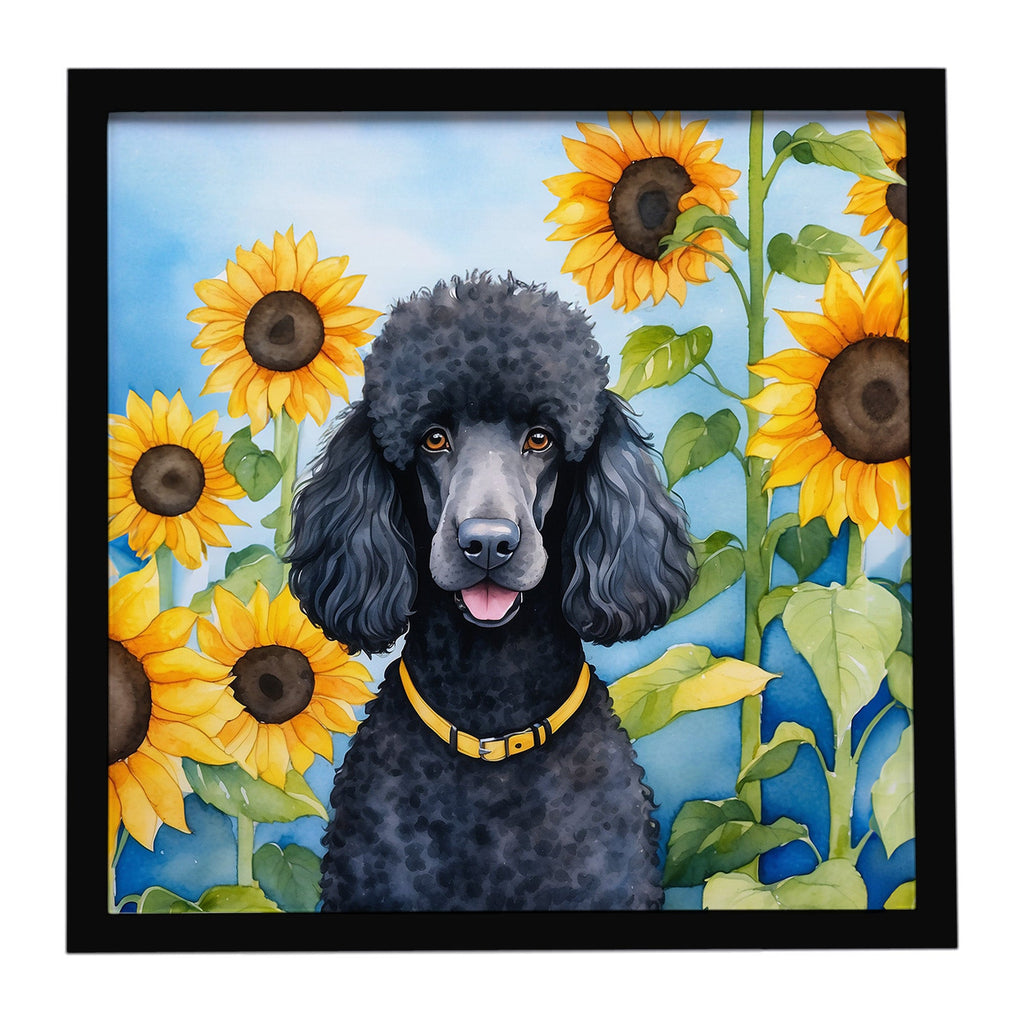 Black Poodle in Sunflowers Framed Metal Print Bathroom, Kitchen, Office, Home Decor Wall Art Ready to Hang, Square, 8X8