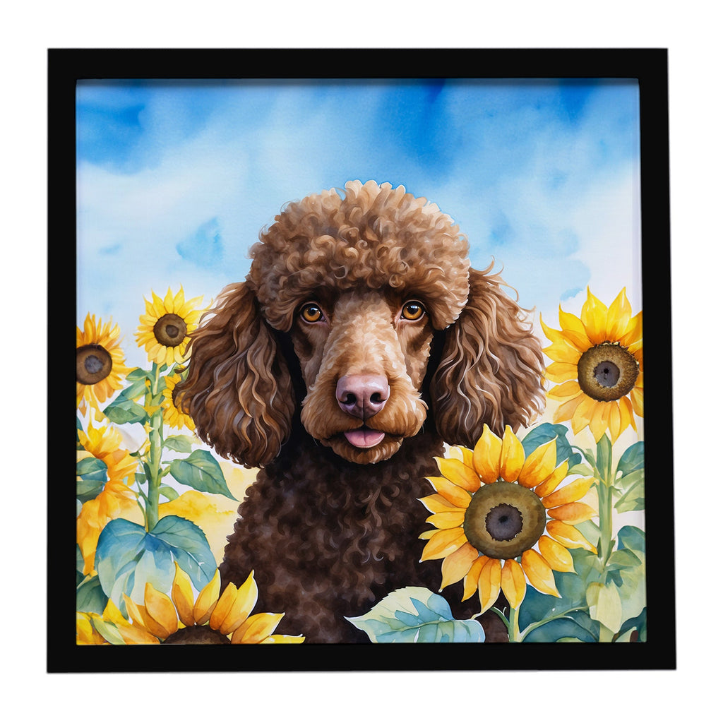 Chocolate Poodle in Sunflowers Framed Metal Print Bathroom, Kitchen, Office, Home Decor Wall Art Ready to Hang, Square, 8X8
