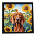 Redbone Coonhound in Sunflowers Framed Metal Print Bathroom, Kitchen, Office, Home Decor Wall Art Ready to Hang, Square, 8X8