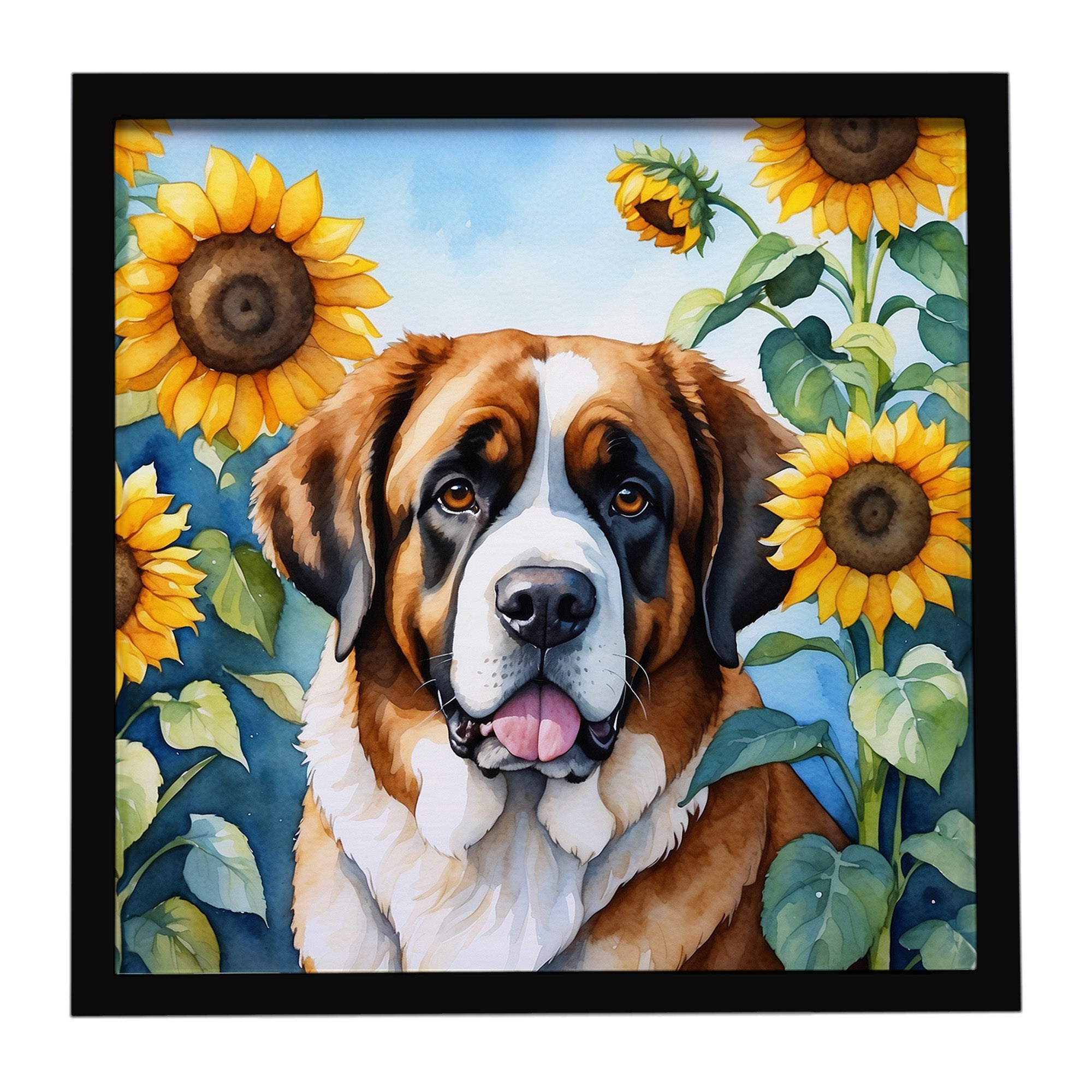 Saint Bernard in Sunflowers Framed Metal Print Bathroom, Kitchen, Office, Home Decor Wall Art Ready to Hang, Square, 8X8