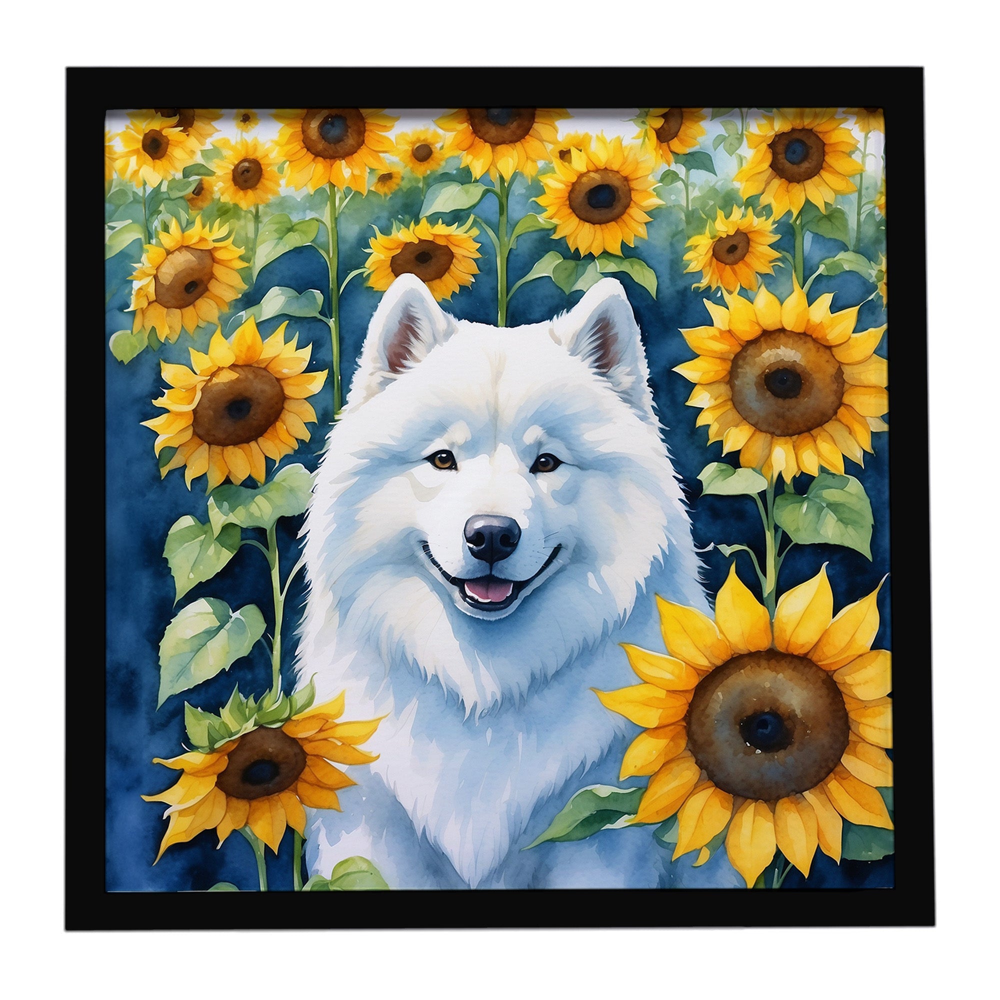 Samoyed in Sunflowers Framed Metal Print Bathroom, Kitchen, Office, Home Decor Wall Art Ready to Hang, Square, 8X8