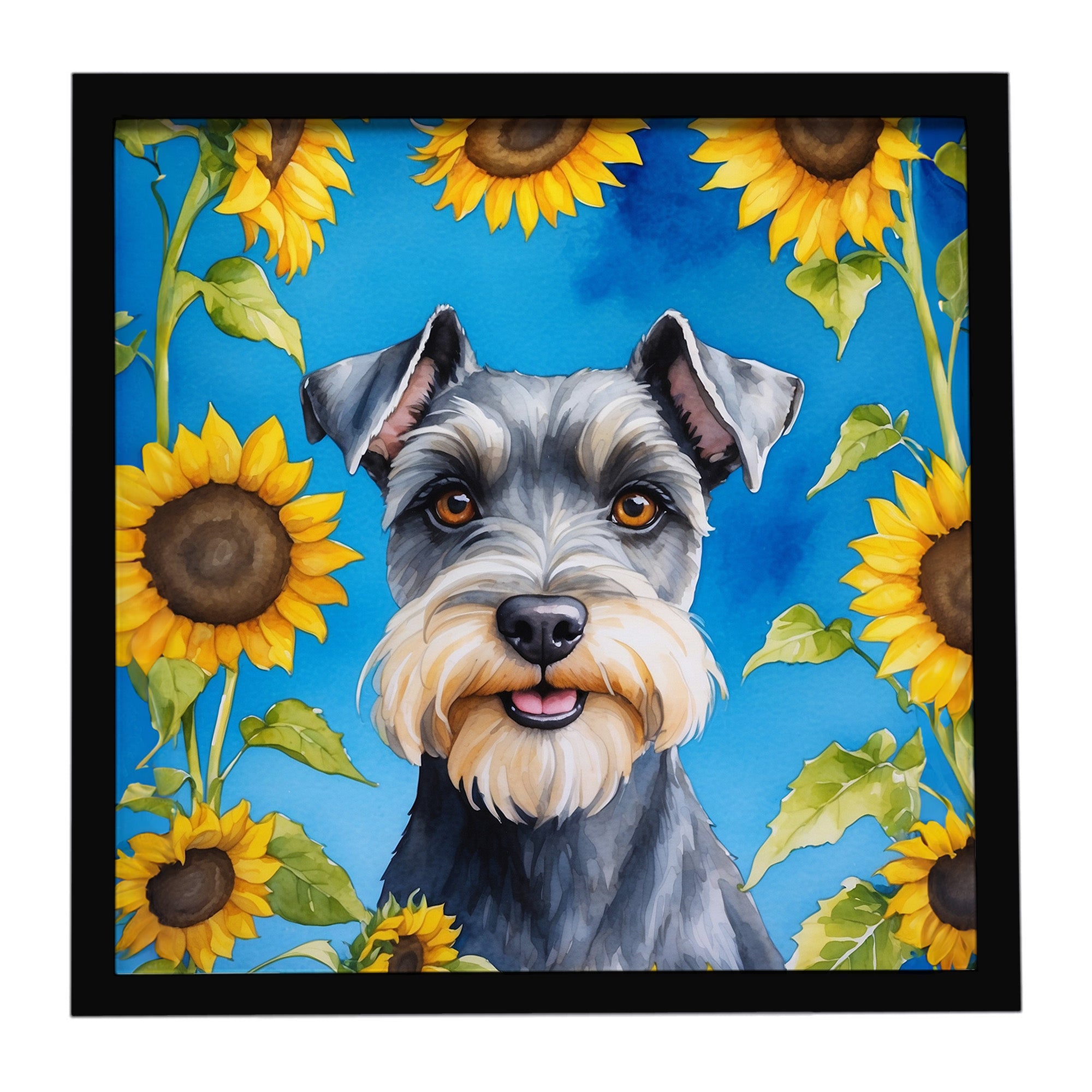 Schnauzer in Sunflowers Framed Metal Print Bathroom, Kitchen, Office, Home Decor Wall Art Ready to Hang, Square, 8X8