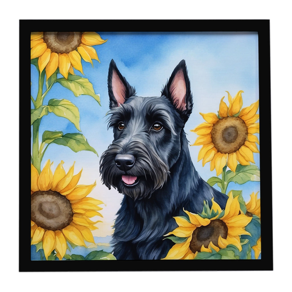Scottish Terrier in Sunflowers Framed Metal Print Bathroom, Kitchen, Office, Home Decor Wall Art Ready to Hang, Square, 8X8