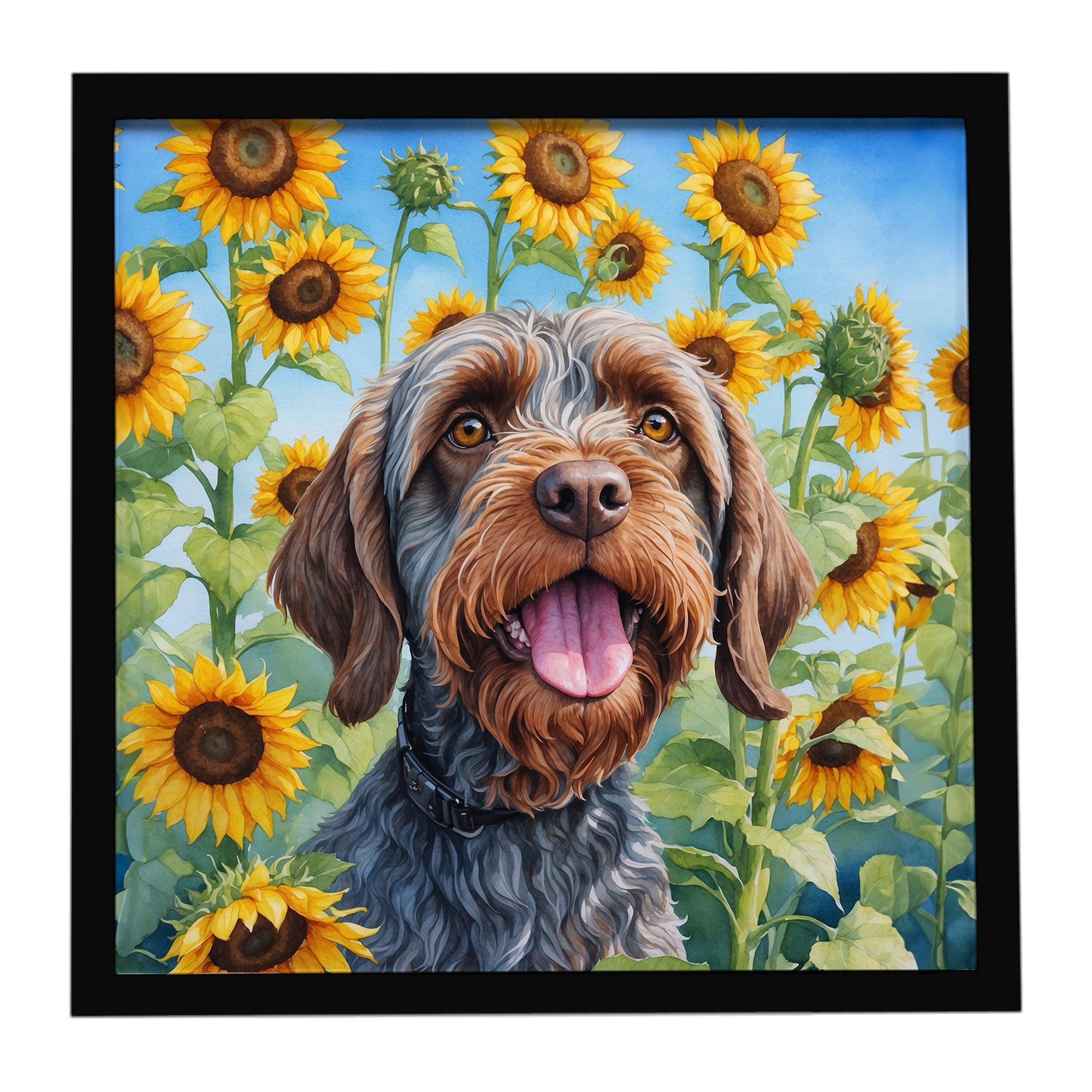 Wirehaired Pointing Griffon in Sunflowers Framed Metal Print Bathroom, Kitchen, Office, Home Decor Wall Art Ready to Hang, Square, 8X8