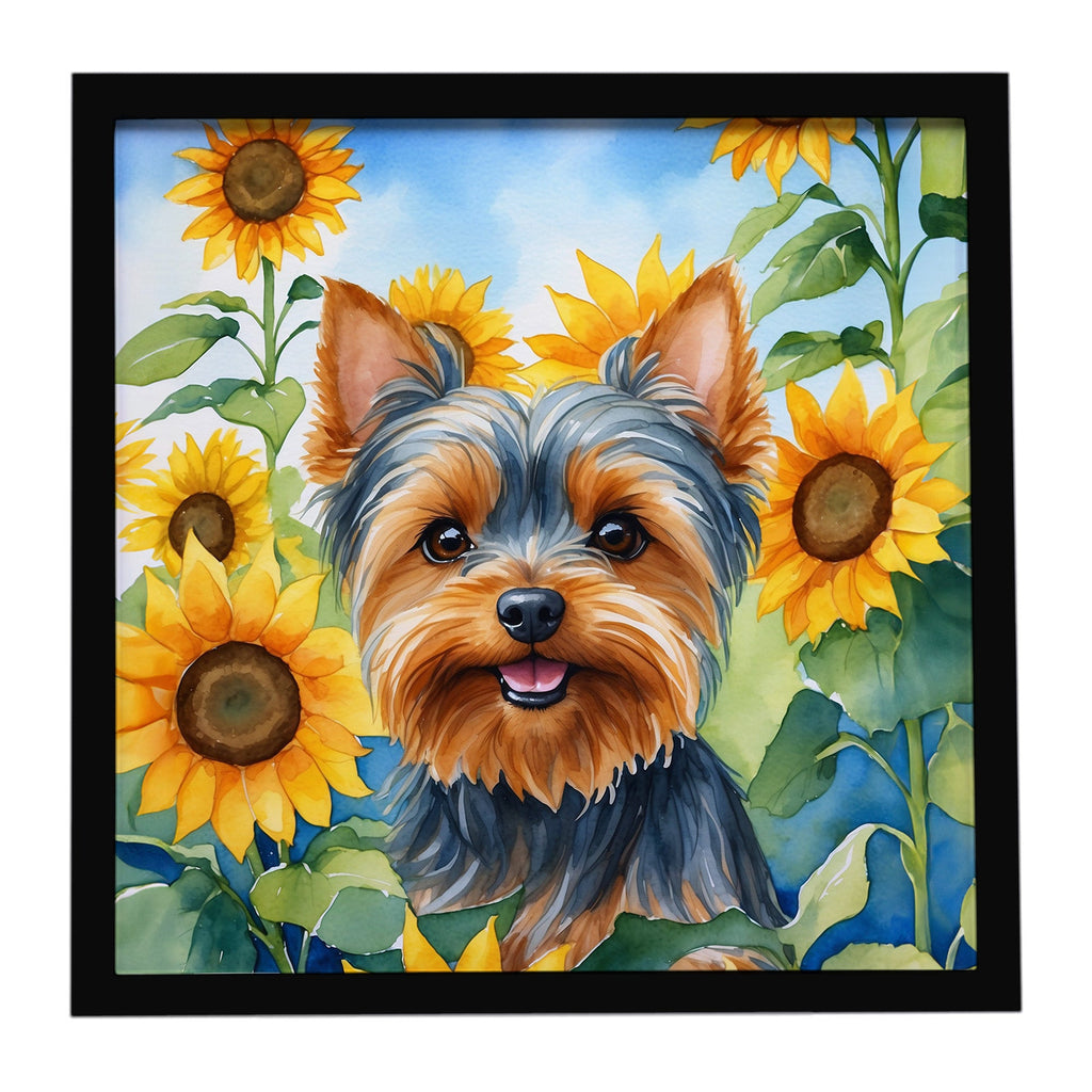 Yorkshire Terrier in Sunflowers Framed Metal Print Bathroom, Kitchen, Office, Home Decor Wall Art Ready to Hang, Square, 8X8