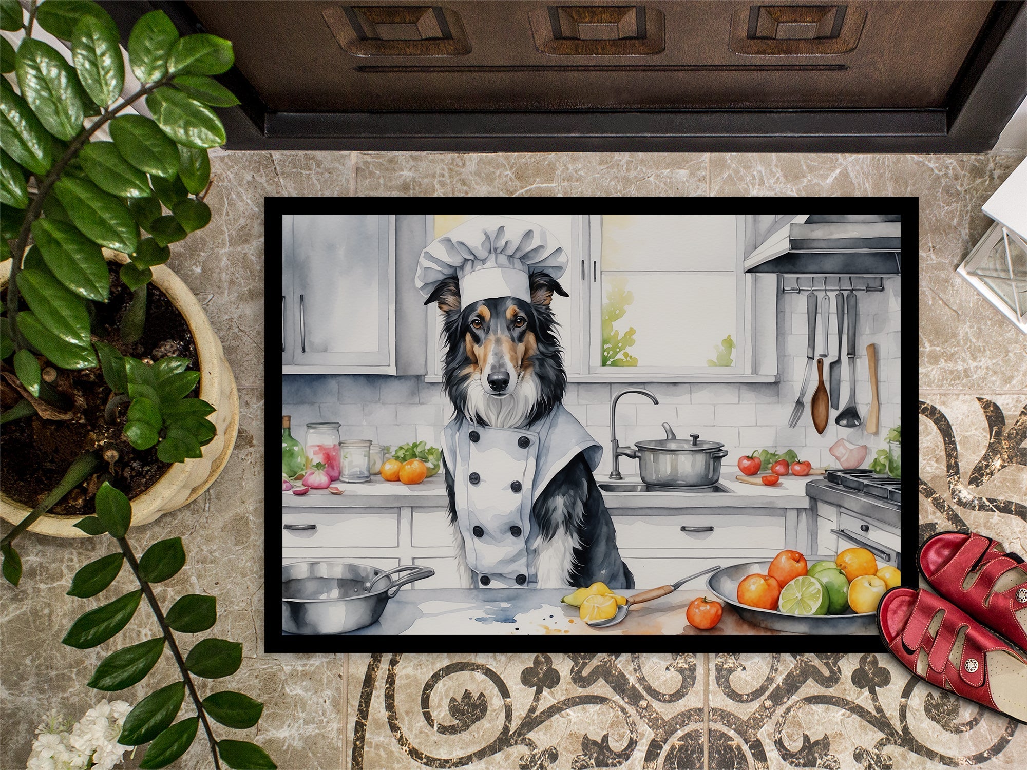 Borzoi The Chef Doormat Indoor Outdoor 24H X 36W Front Door Mat Rugs for Entryway, Non Slip Washable Low Pile,