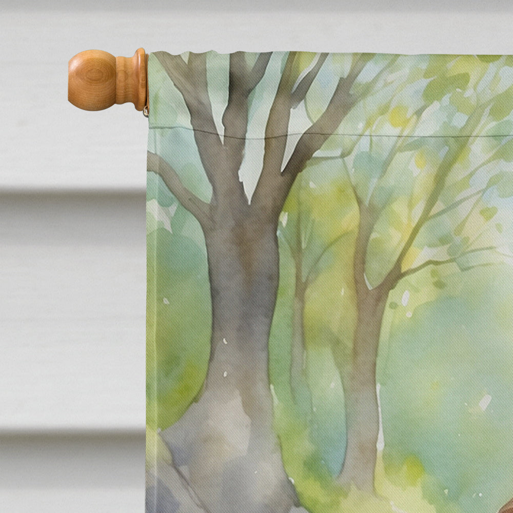 American Water Spaniel Spring Garden House Flag 28x40 Porch Sleeve Pole Decorative Outside Yard Banner Artwork Wall Hanging, Polyester
