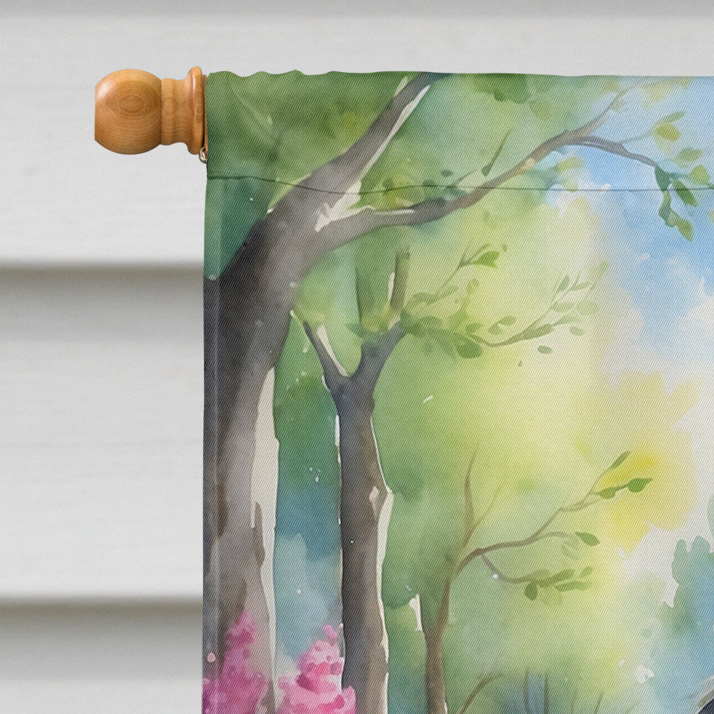 Bergamasco Sheepdog Spring Path House Flag 28x40 Porch Sleeve Pole Decorative Outside Yard Banner Artwork Wall Hanging, Polyester
