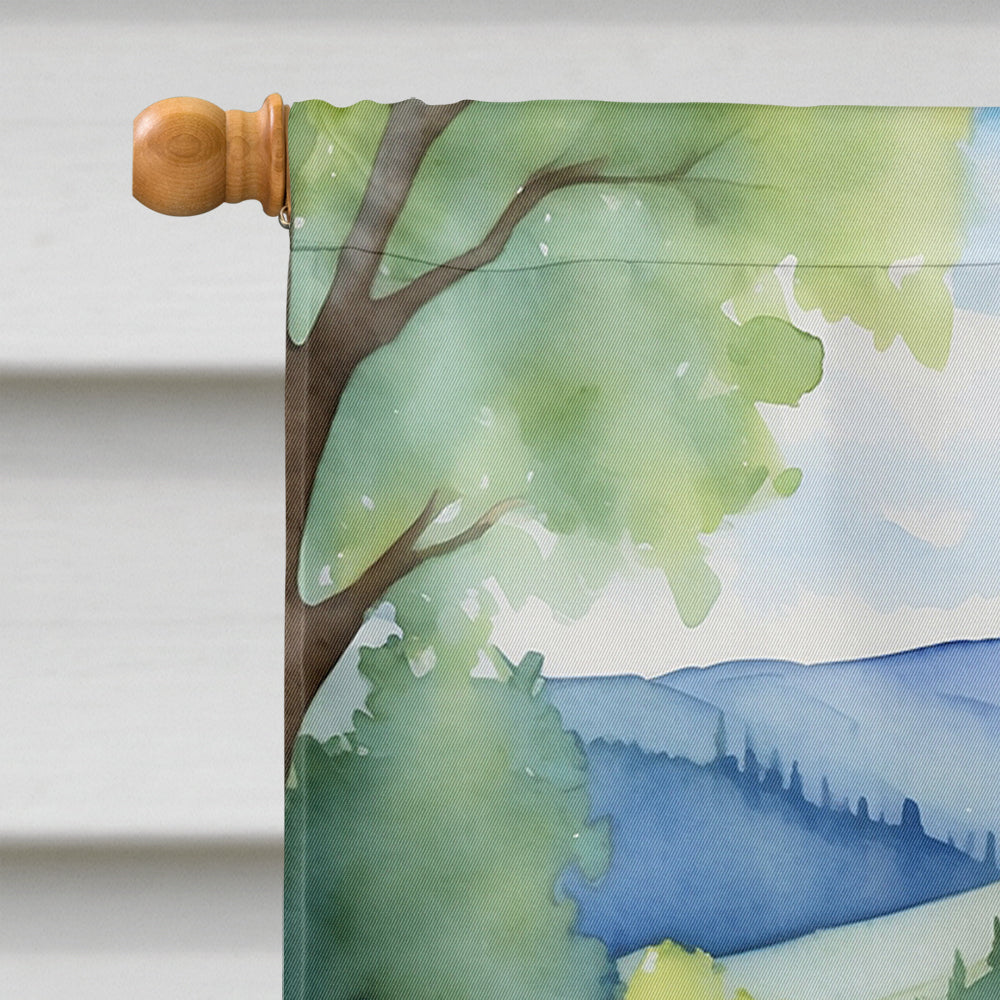 Bernedoodle Spring Path House Flag 28x40 Porch Sleeve Pole Decorative Outside Yard Banner Artwork Wall Hanging, Polyester