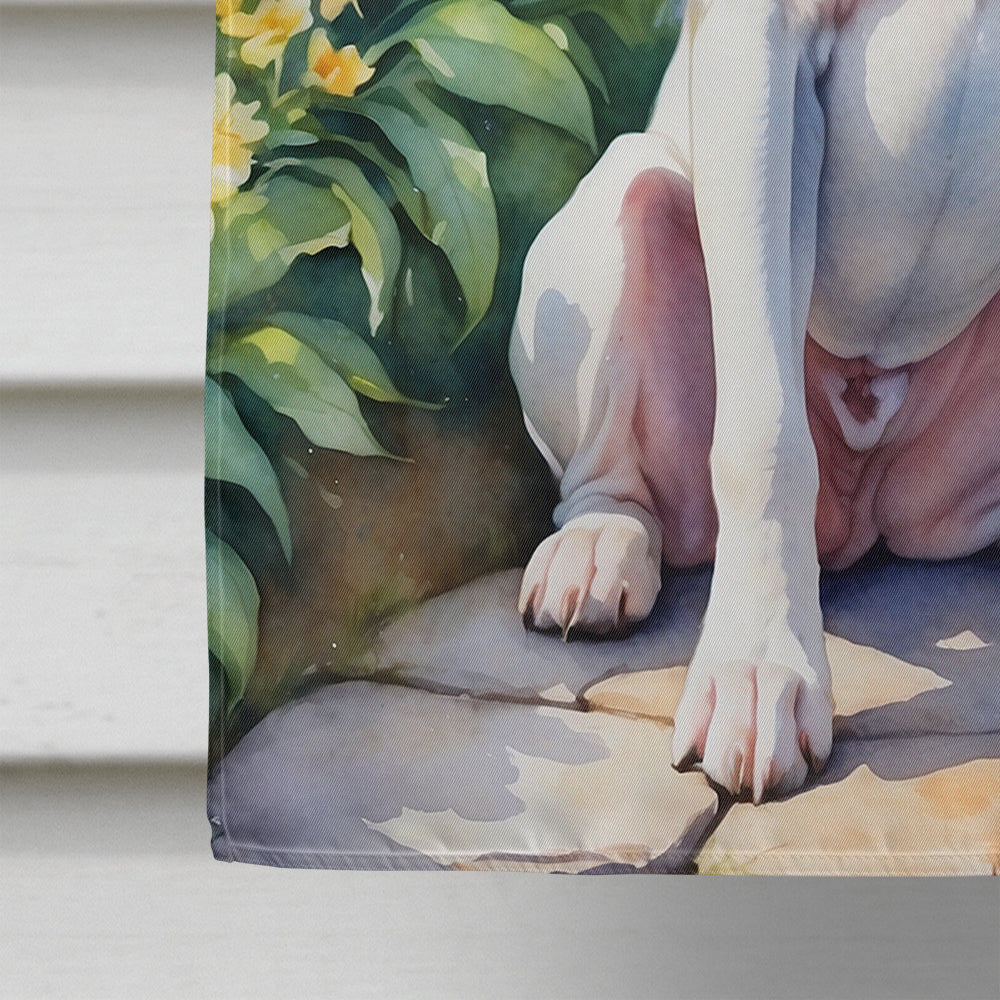 White Boxer Spring Path House Flag 28x40 Porch Sleeve Pole Decorative Outside Yard Banner Artwork Wall Hanging, Polyester