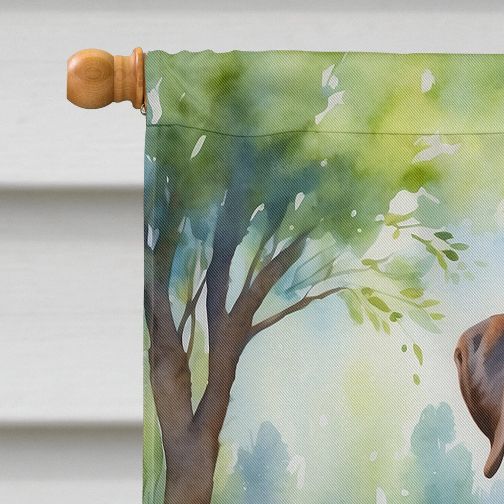 Boxer Spring Path House Flag 28x40 Porch Sleeve Pole Decorative Outside Yard Banner Artwork Wall Hanging, Polyester
