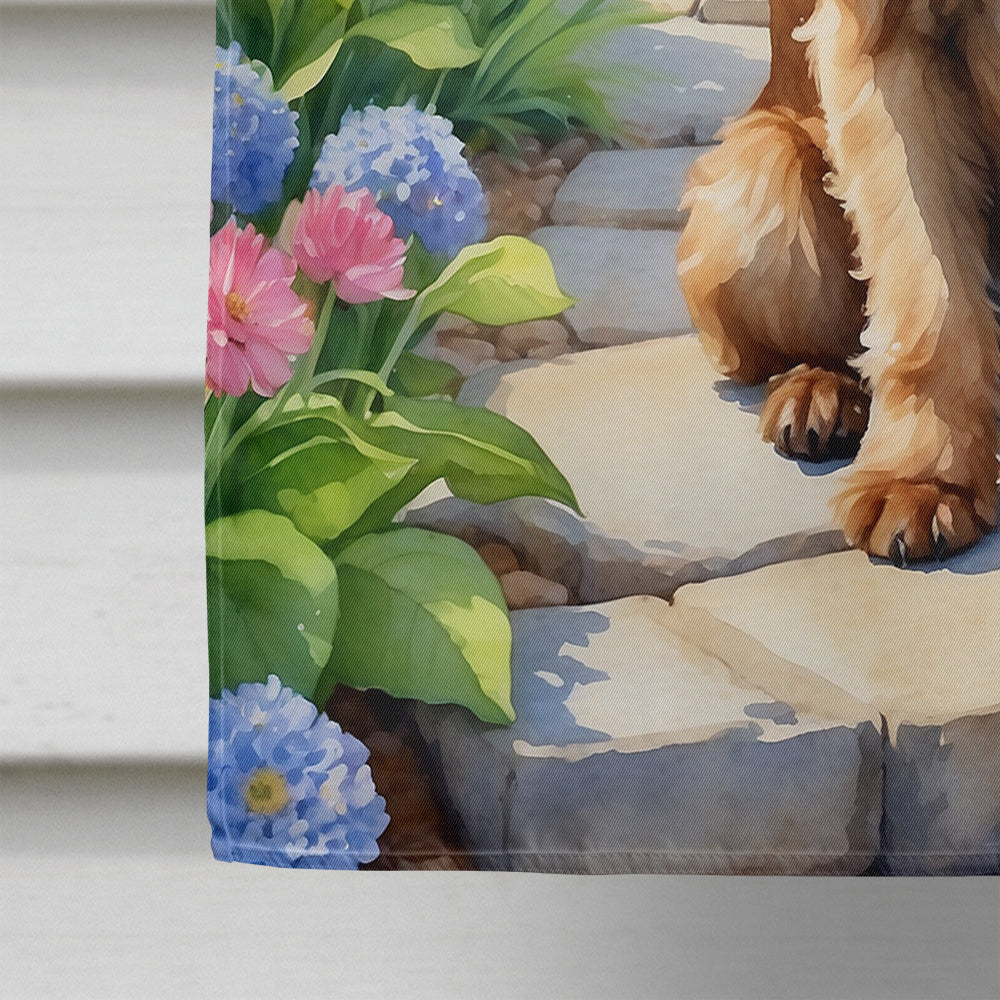 Brussels Griffon Spring Path House Flag 28x40 Porch Sleeve Pole Decorative Outside Yard Banner Artwork Wall Hanging, Polyester