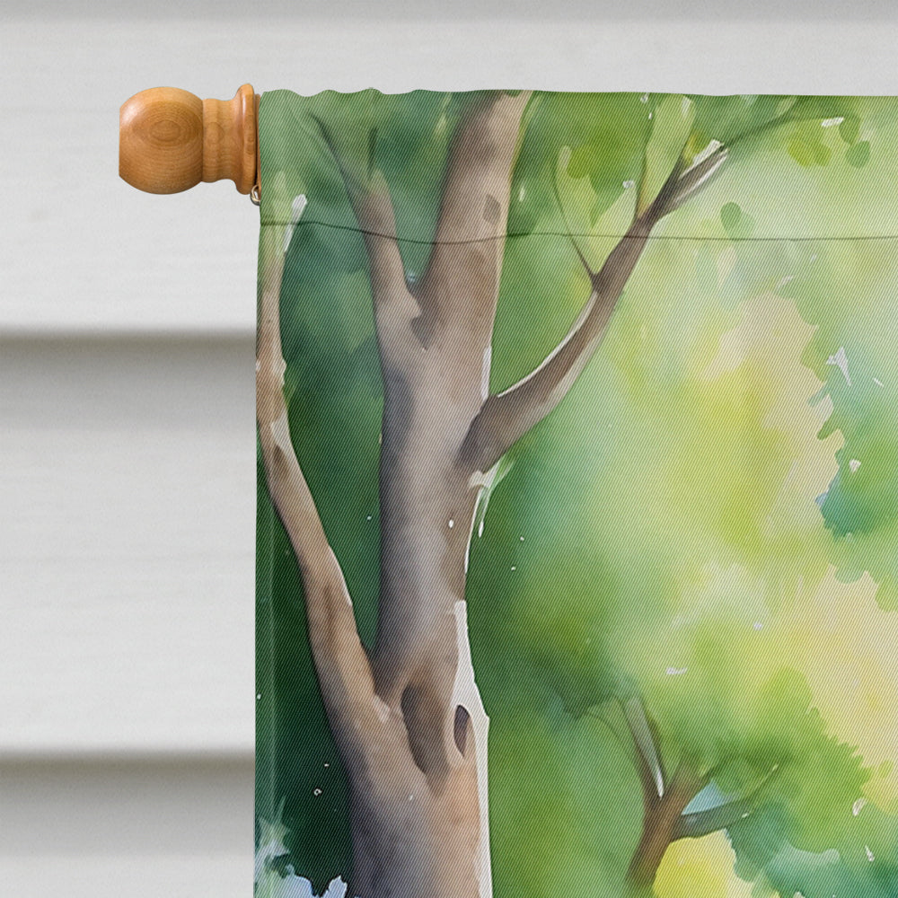 Cavalier Spaniel Spring Path House Flag 28x40 Porch Sleeve Pole Decorative Outside Yard Banner Artwork Wall Hanging, Polyester