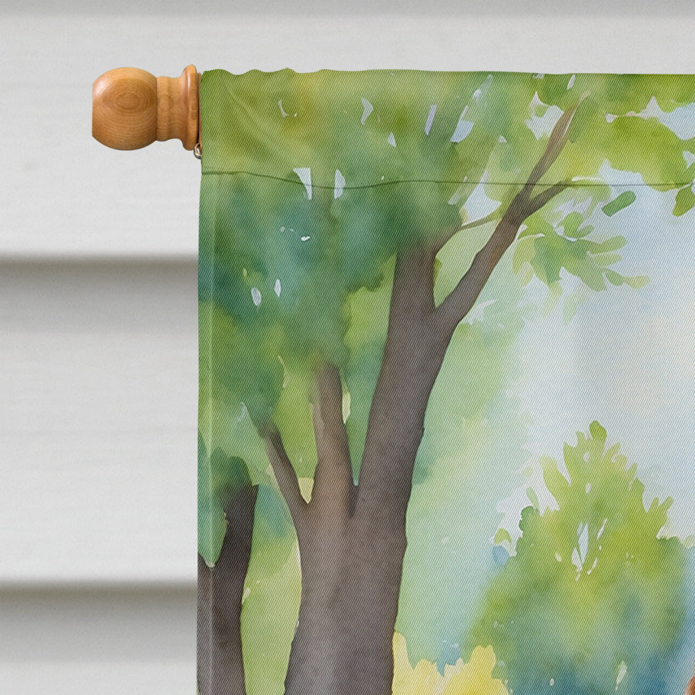 Chesapeake Bay Retriever Spring Path House Flag 28x40 Porch Sleeve Pole Decorative Outside Yard Banner Artwork Wall Hanging, Polyester