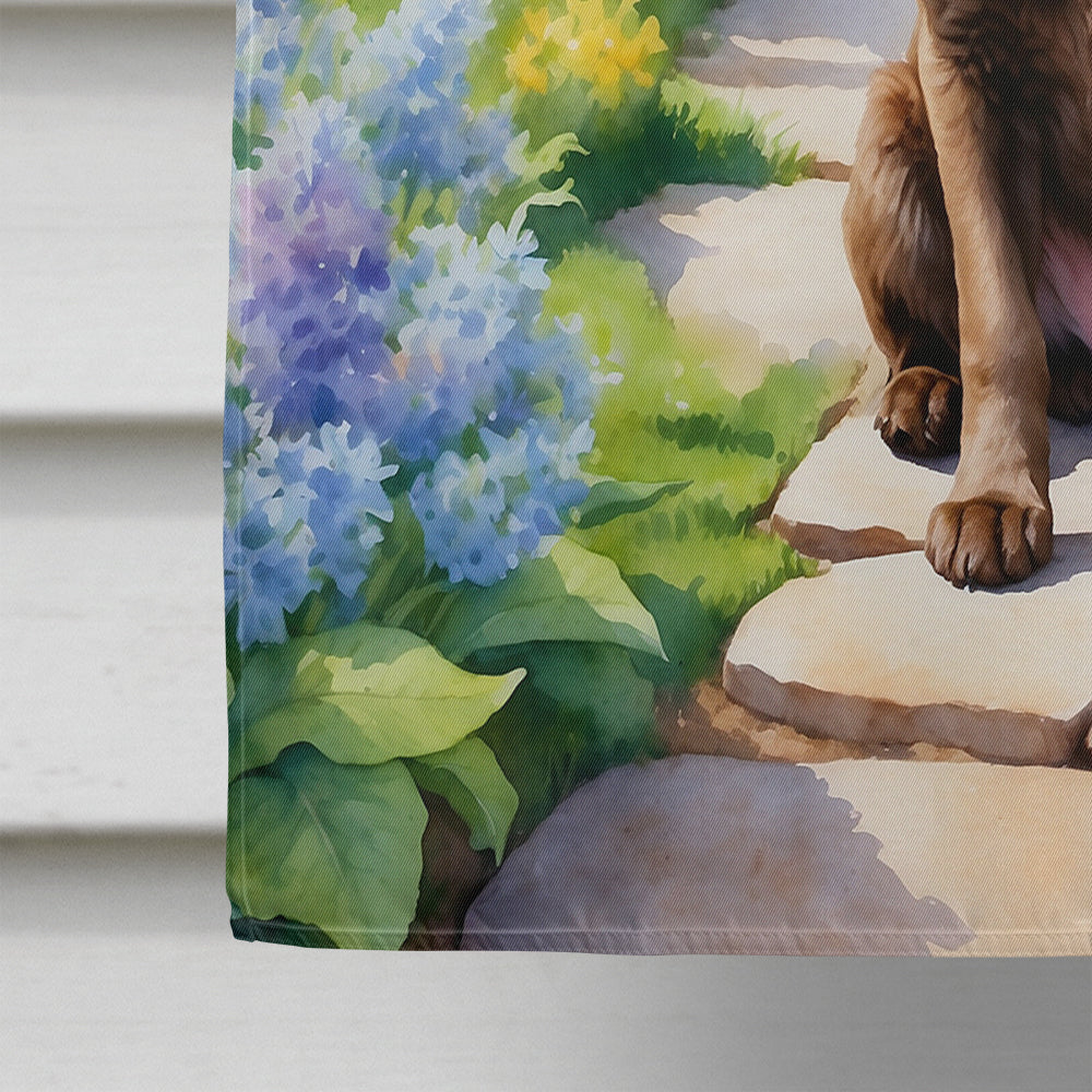 Chesapeake Bay Retriever Spring Path House Flag 28x40 Porch Sleeve Pole Decorative Outside Yard Banner Artwork Wall Hanging, Polyester