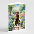 Chesapeake Bay Retriever Spring Path Greeting Cards Pack of 8 Blank Cards with Envelopes Whimsical A7 Size 5x7