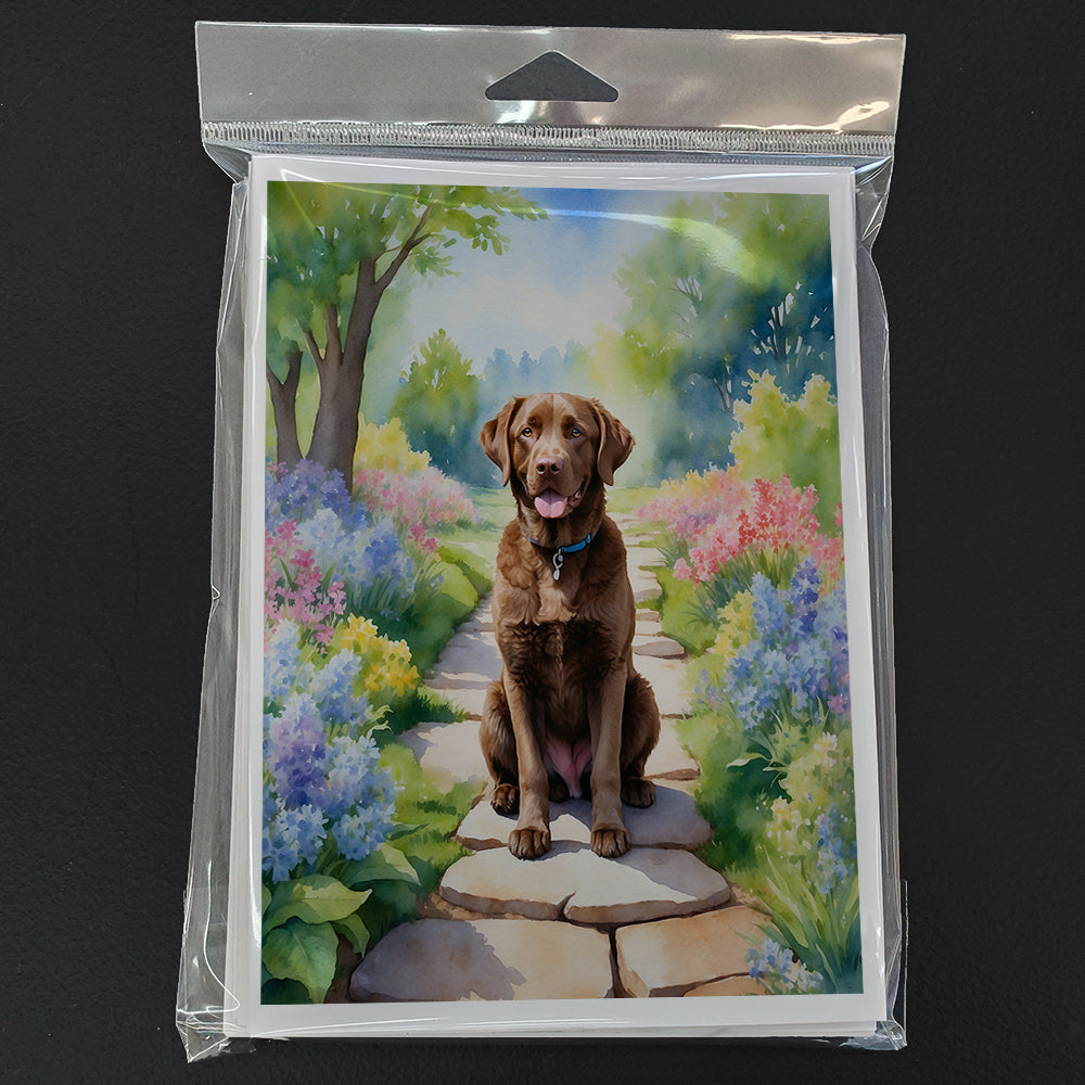 Chesapeake Bay Retriever Spring Path Greeting Cards Pack of 8 Blank Cards with Envelopes Whimsical A7 Size 5x7