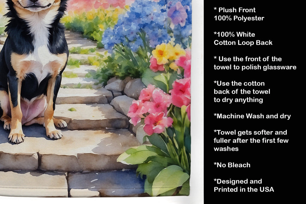 Chihuahua Spring Path Kitchen Towel Velour Plush Front and Cotton Loop Back Machine Washable