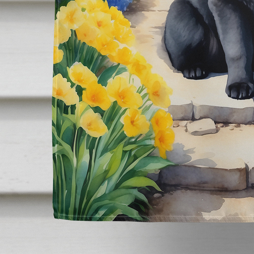 Chow Chow Spring Path House Flag 28x40 Porch Sleeve Pole Decorative Outside Yard Banner Artwork Wall Hanging, Polyester
