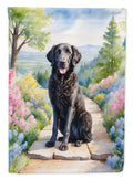 Curly-Coated Retriever Spring Path House Flag 28x40 Porch Sleeve Pole Decorative Outside Yard Banner Artwork Wall Hanging, Polyester