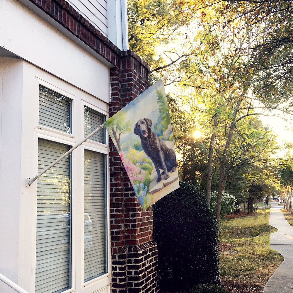 Curly-Coated Retriever Spring Path House Flag 28x40 Porch Sleeve Pole Decorative Outside Yard Banner Artwork Wall Hanging, Polyester