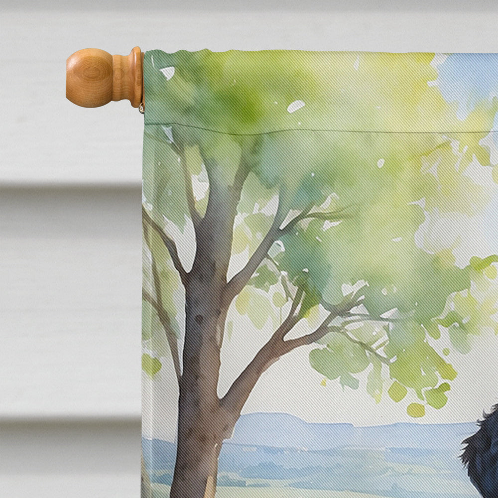 Curly-Coated Retriever Spring Path House Flag 28x40 Porch Sleeve Pole Decorative Outside Yard Banner Artwork Wall Hanging, Polyester