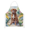 Dogue de Bordeaux Spring Path Apron Cooking Kitchen Server Baking Crafts Gardening for Adult Women Men, Unisex, Large, Multicolor