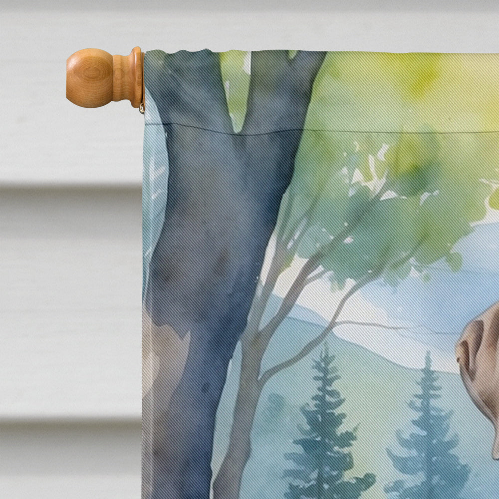 Great Dane Spring Path House Flag 28x40 Porch Sleeve Pole Decorative Outside Yard Banner Artwork Wall Hanging, Polyester