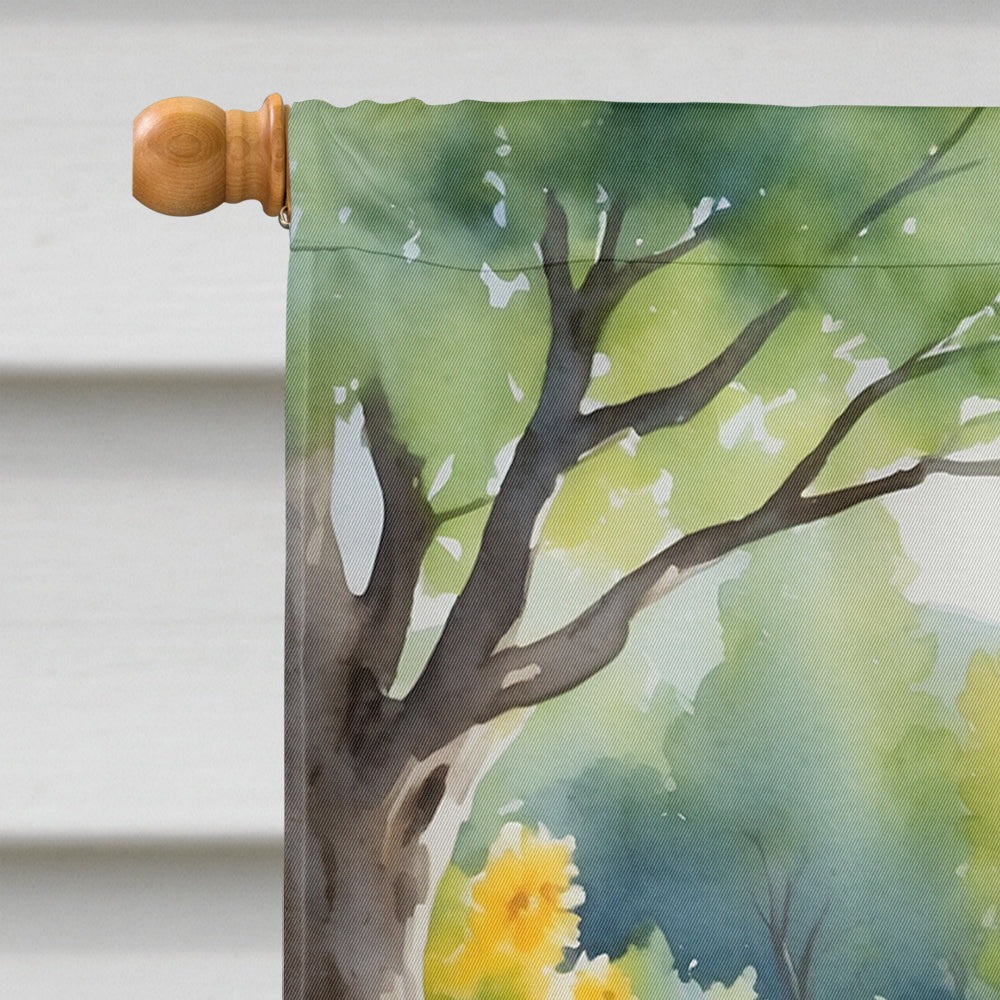 Havanese Spring Path House Flag 28x40 Porch Sleeve Pole Decorative Outside Yard Banner Artwork Wall Hanging, Polyester