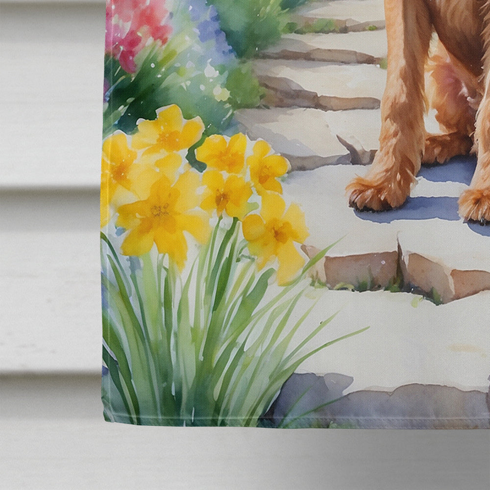 Irish Terrier Spring Path House Flag 28x40 Porch Sleeve Pole Decorative Outside Yard Banner Artwork Wall Hanging, Polyester