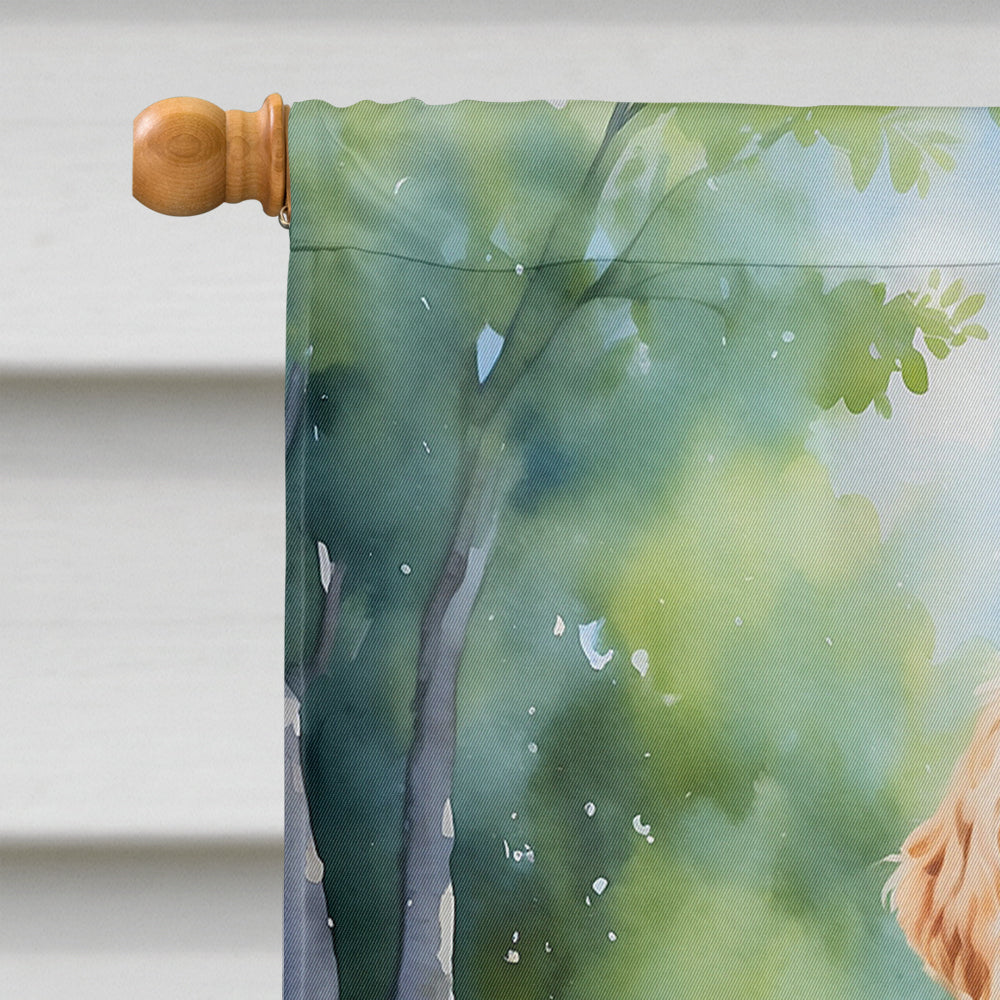 Labradoodle Spring Path House Flag 28x40 Porch Sleeve Pole Decorative Outside Yard Banner Artwork Wall Hanging, Polyester