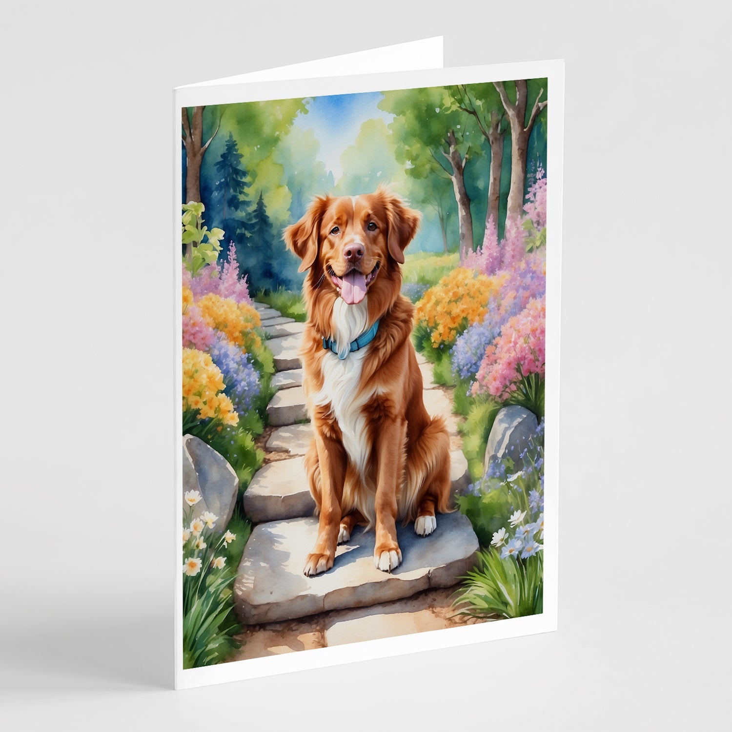 Nova Scotia Duck Tolling Retriever Spring Path Greeting Cards Pack of 8 Blank Cards with Envelopes Whimsical A7 Size 5x7