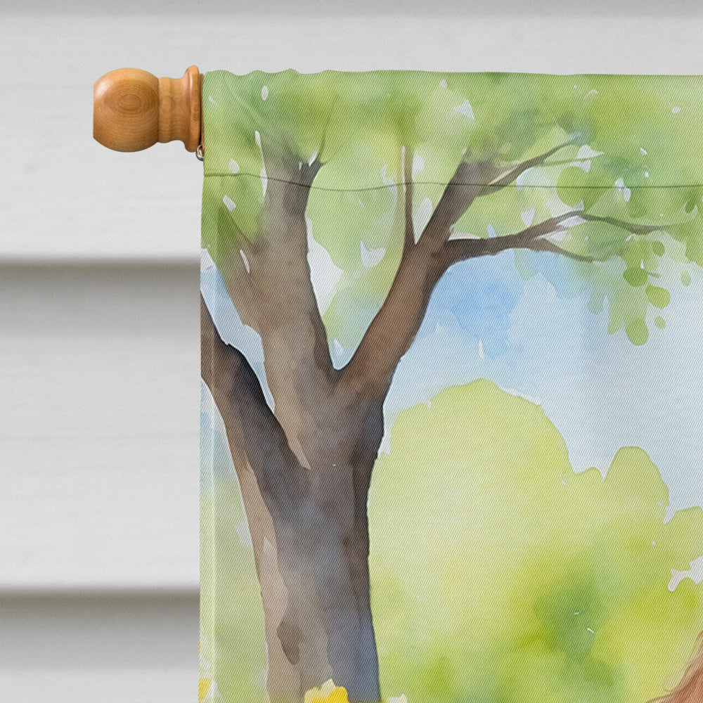 Chocolate Poodle Spring Path House Flag 28x40 Porch Sleeve Pole Decorative Outside Yard Banner Artwork Wall Hanging, Polyester