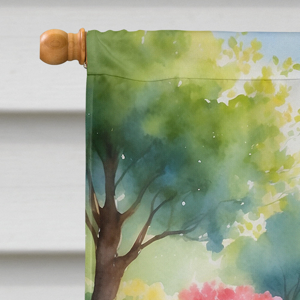 Portuguese Water Dog Spring Path House Flag 28x40 Porch Sleeve Pole Decorative Outside Yard Banner Artwork Wall Hanging, Polyester
