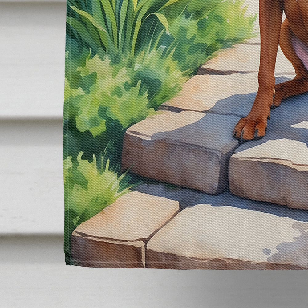Redbone Coonhound Spring Path House Flag 28x40 Porch Sleeve Pole Decorative Outside Yard Banner Artwork Wall Hanging, Polyester