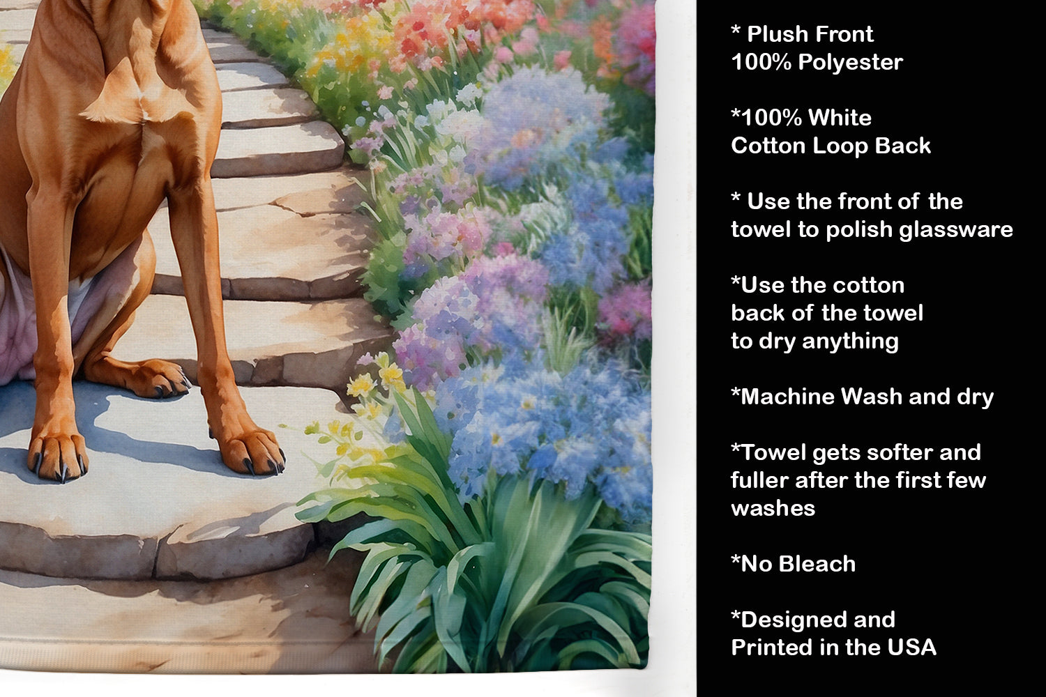 Rhodesian Ridgeback Spring Path Kitchen Towel Velour Plush Front and Cotton Loop Back Machine Washable