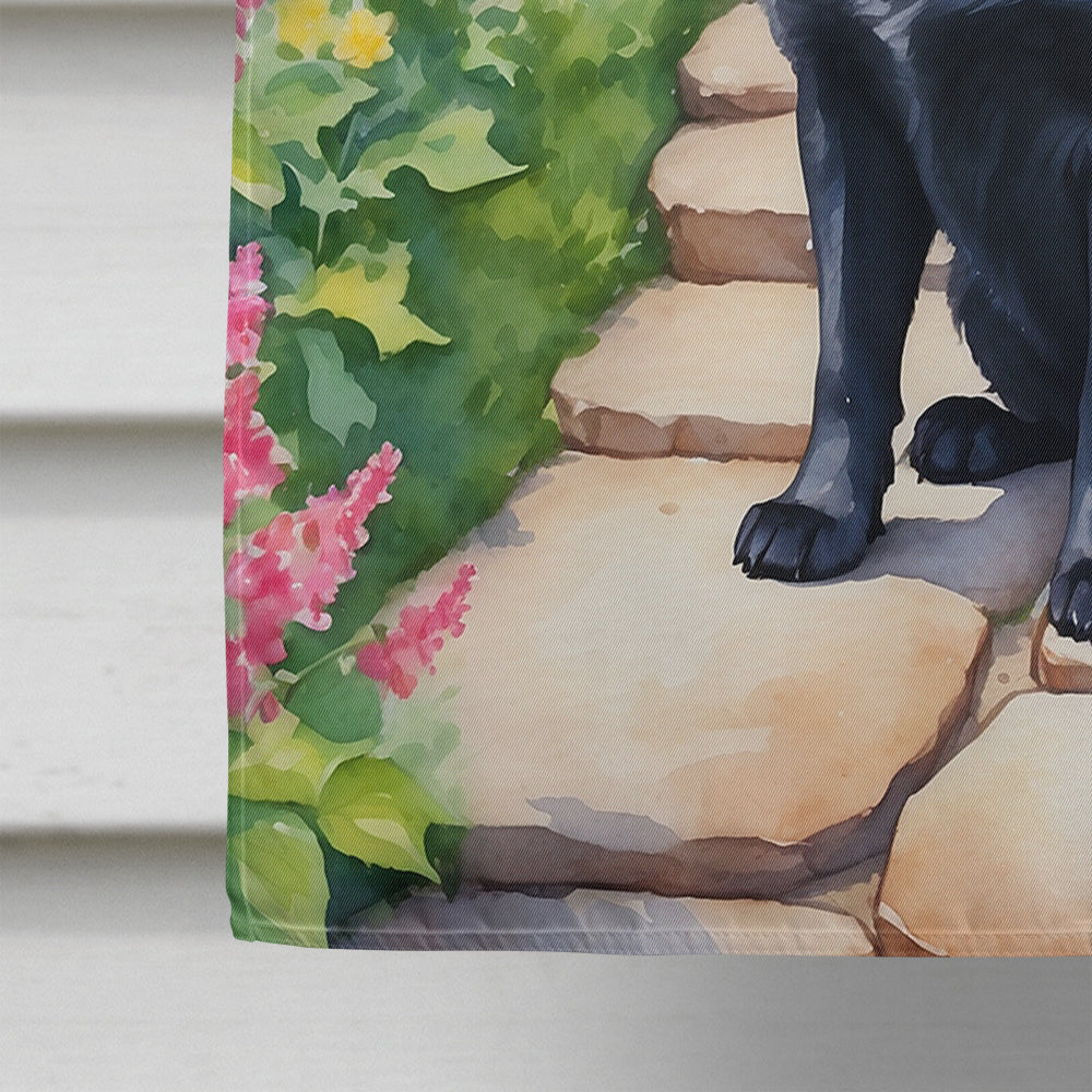 Schipperke Spring Path House Flag 28x40 Porch Sleeve Pole Decorative Outside Yard Banner Artwork Wall Hanging, Polyester
