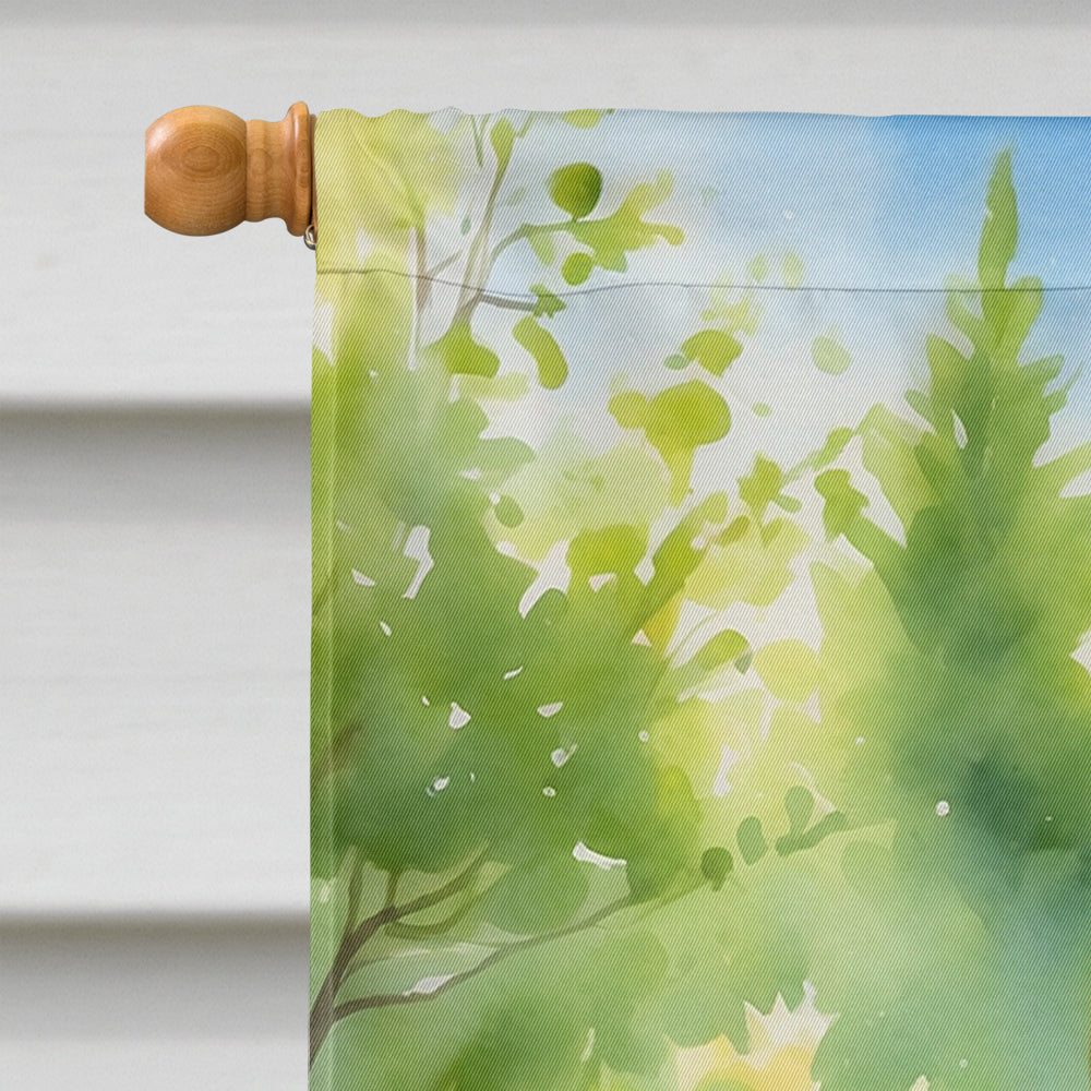 Shiba Inu Spring Path House Flag 28x40 Porch Sleeve Pole Decorative Outside Yard Banner Artwork Wall Hanging, Polyester