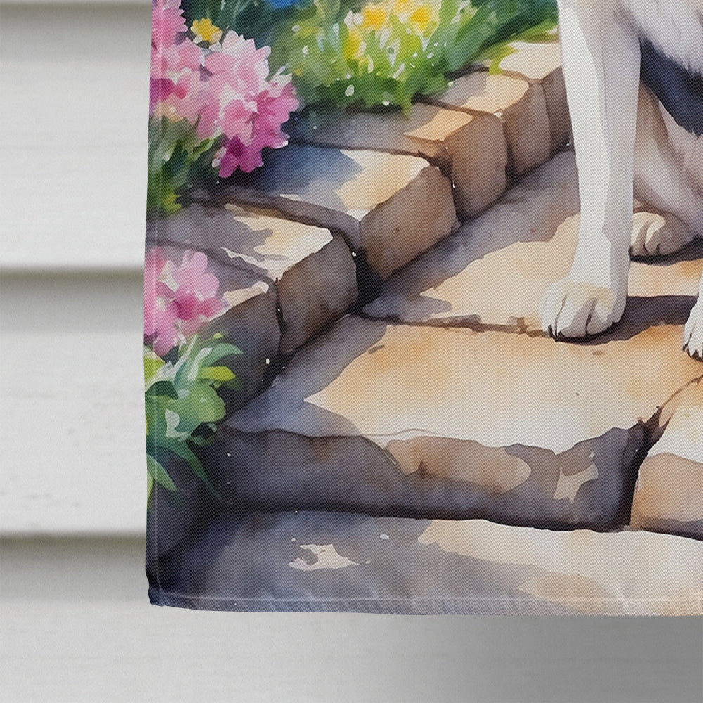 Siberian Husky Spring Path House Flag 28x40 Porch Sleeve Pole Decorative Outside Yard Banner Artwork Wall Hanging, Polyester