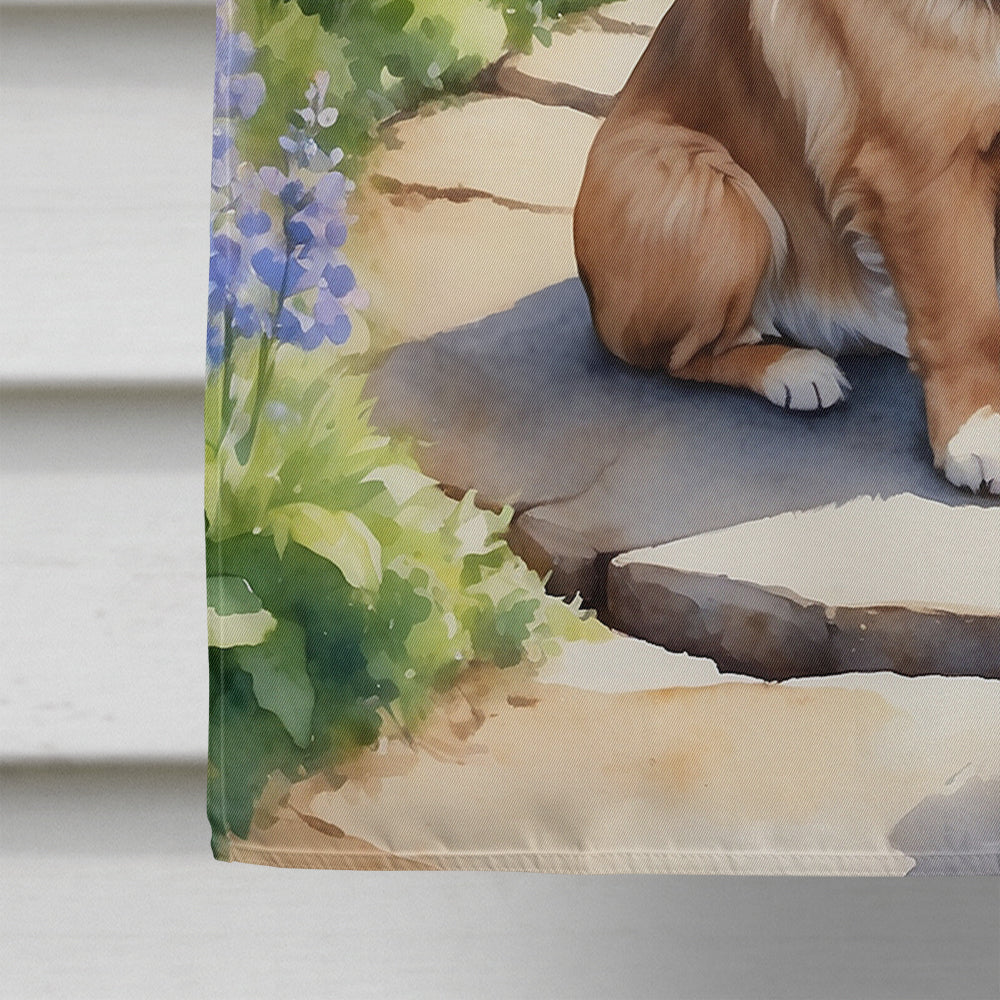 Tibetan Spaniel Spring Path House Flag 28x40 Porch Sleeve Pole Decorative Outside Yard Banner Artwork Wall Hanging, Polyester